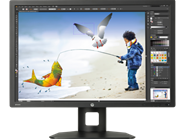 Màn hình LED IPS HP Z Display Z30i 30 inch (D7P94A4)