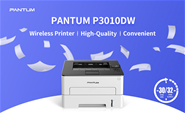 Máy in Pantum P3010DW